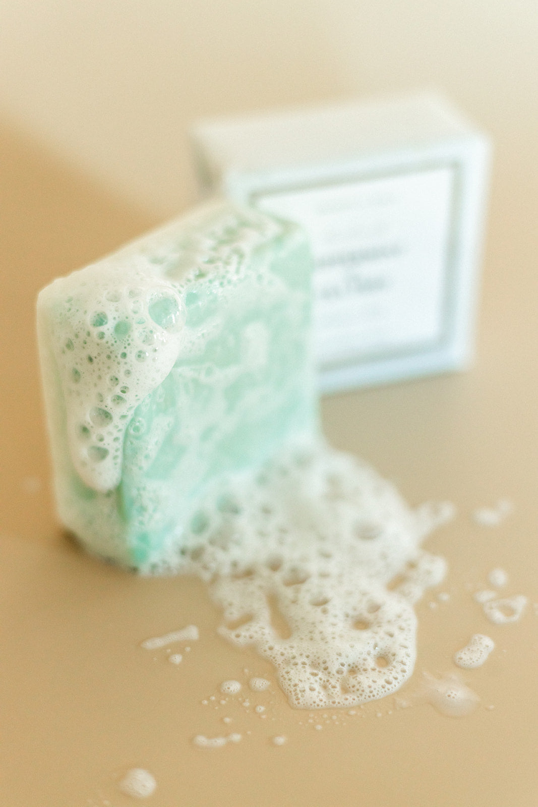 Teatree + Peppermint Shampoo Bar