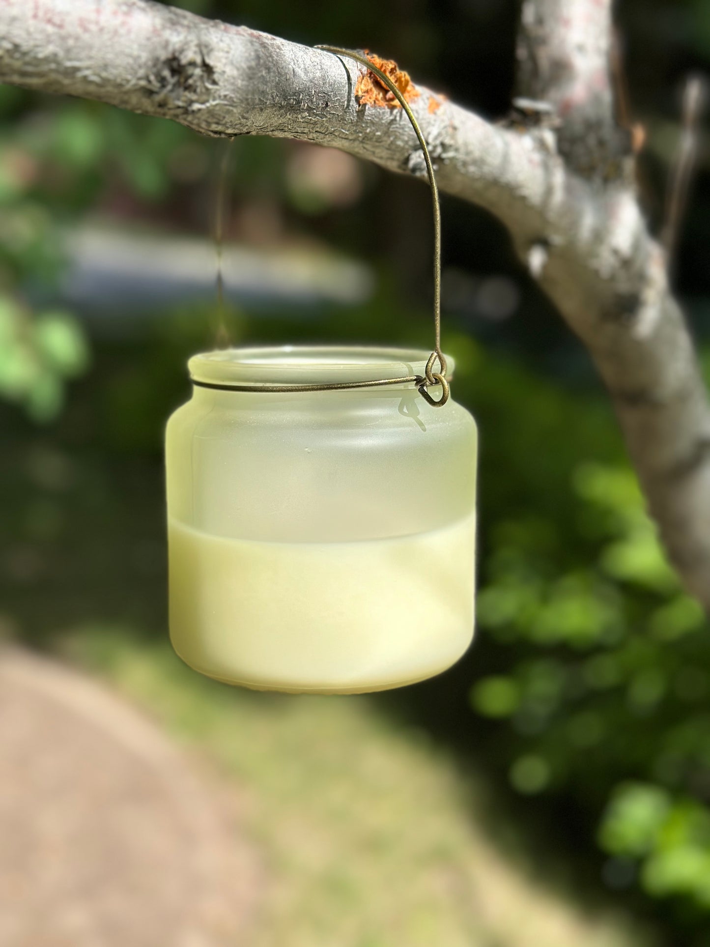 Citronella Candle